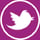 NNW_twitterIcon